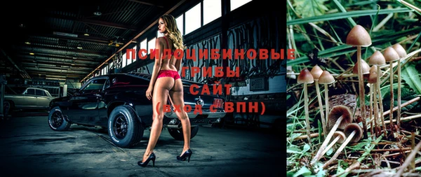 Альфа ПВП Кукмор